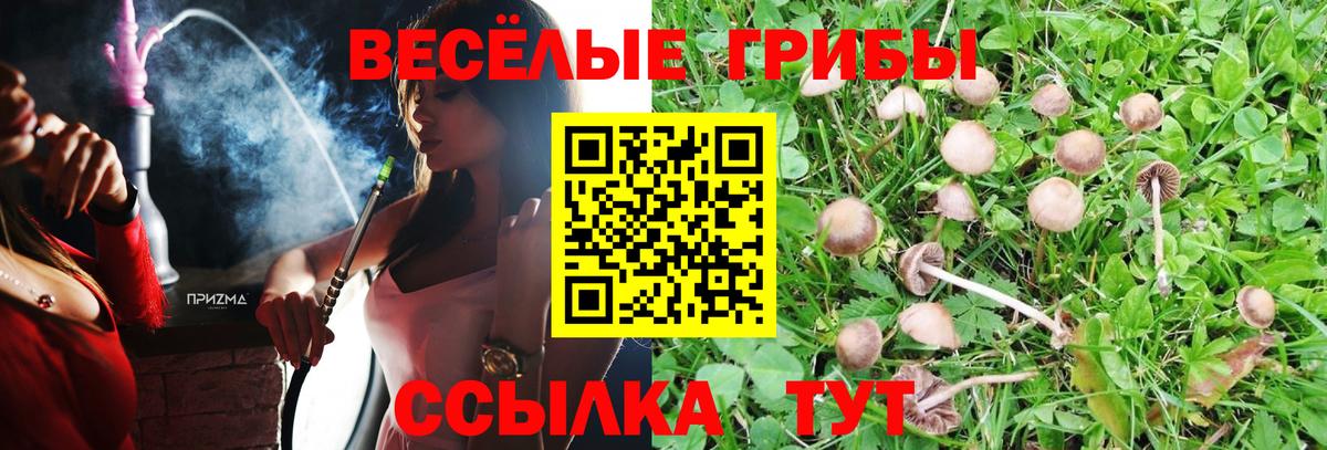 Губаха  Псилоцибиновые грибы Psilocybine cubensis  Вход с VPN 
