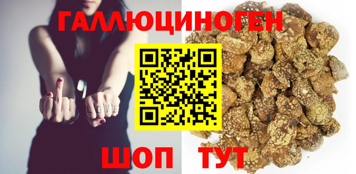 Галлюциногенные грибы MAGIC MUSHROOMS Губаха